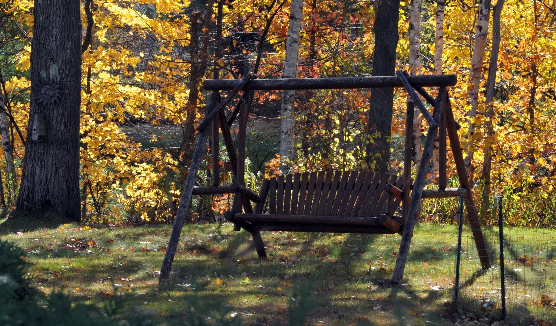 Качели в лесу фото Edit free photo of Swing,bench,bench swing,seat,wood - needpix.com