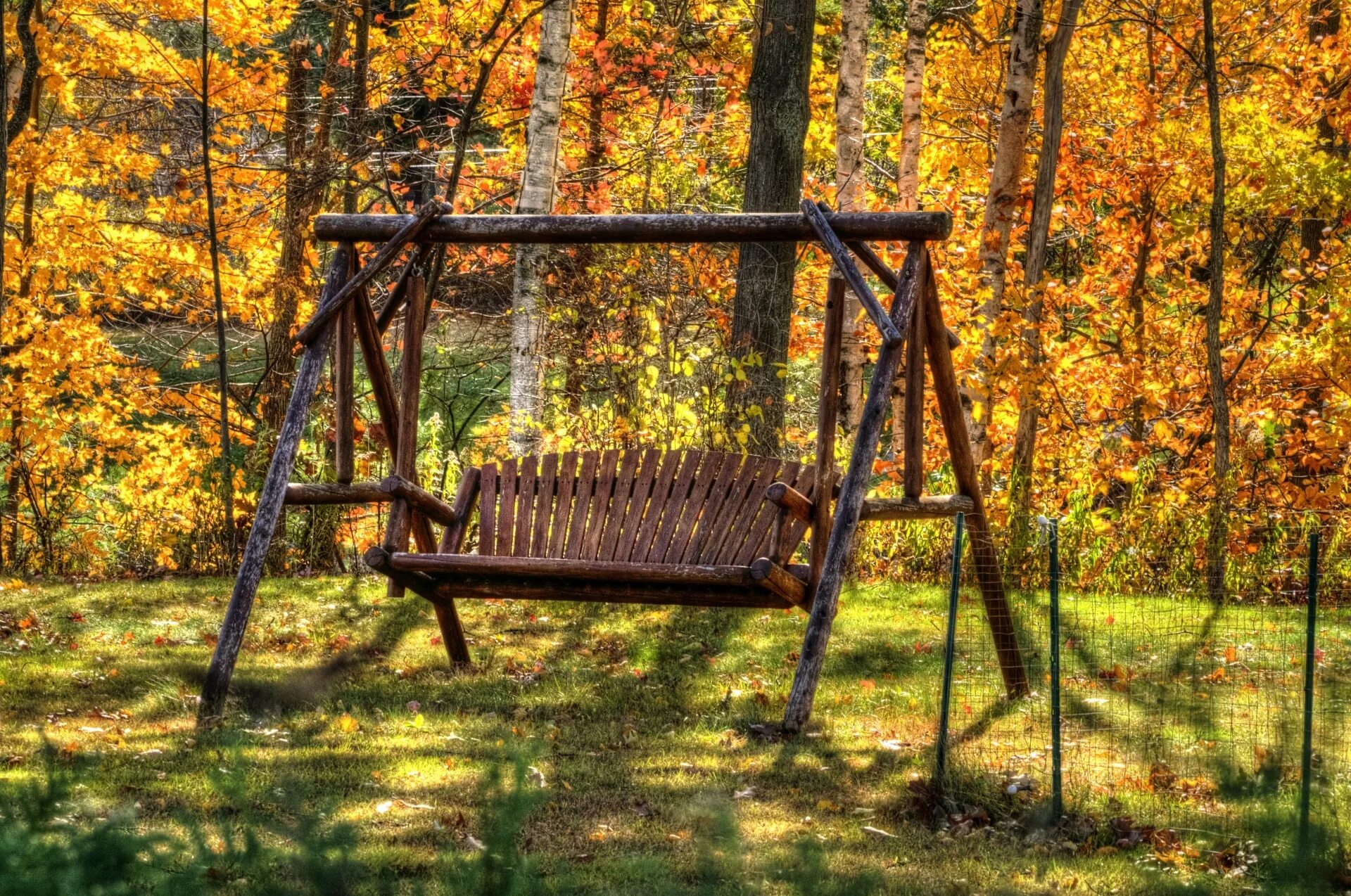 Качели в лесу фото Download free photo of Fall,autumn,foliage,bench,seat - from needpix.com