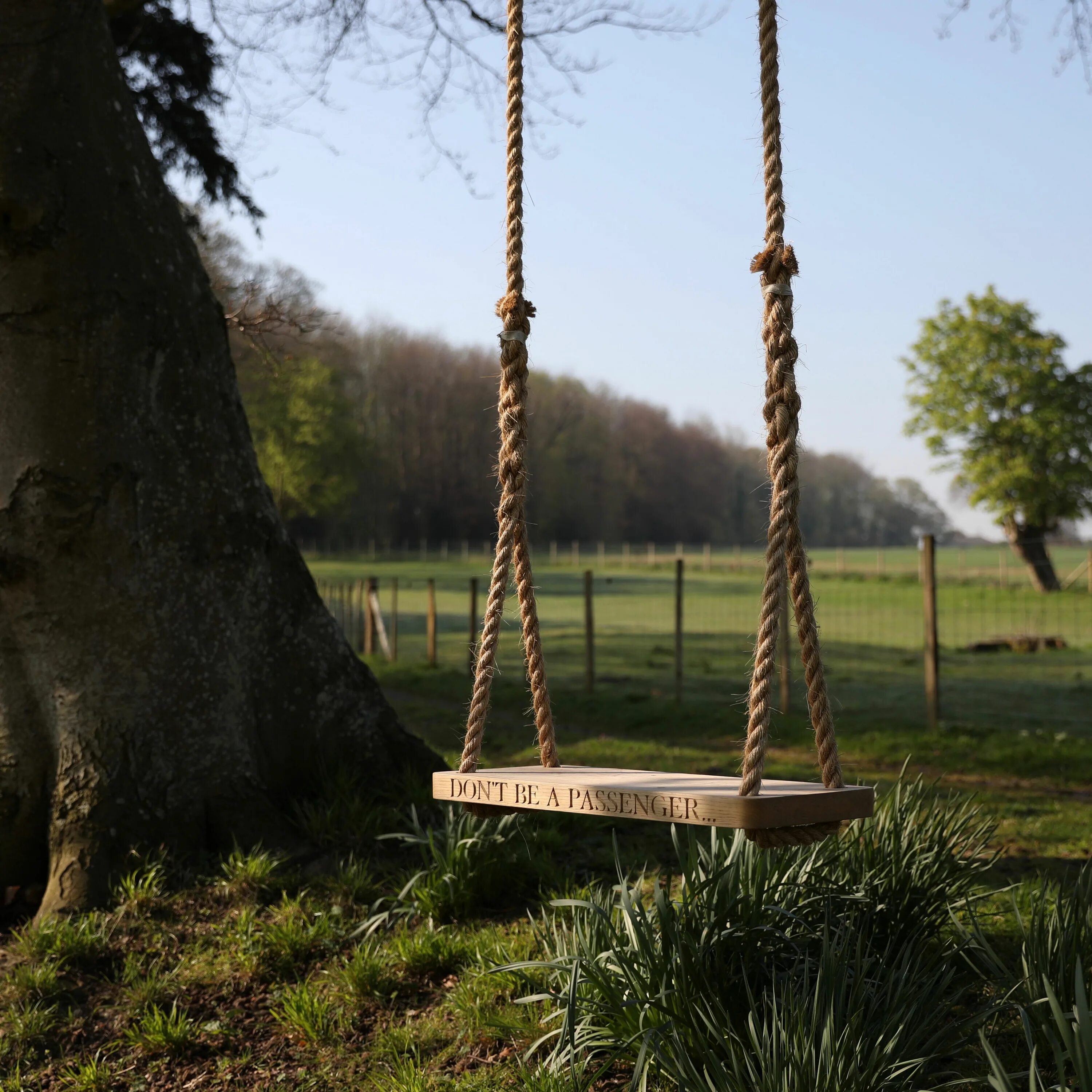 Качели в лесу фото Online Gift Shop UK Unique & Personalised Gifts Tree swing, Garden trees, Swing