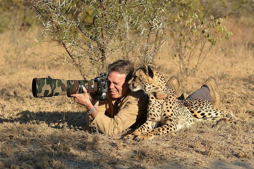 Качества фото дики Дикие животные мешают фотографам, Подборка очень забавных снимков - новости на G