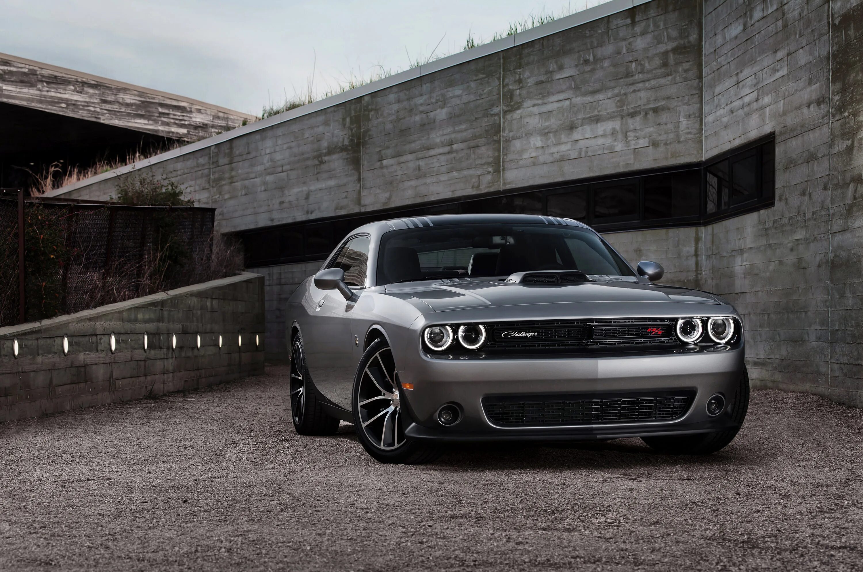 Качественное фото автомобилей Dodge Challenger (2015) - picture 19 of 32