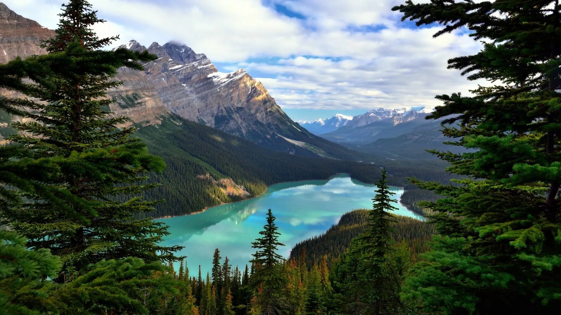 Качественное фото природы Скачать обои Банф, Peyto Lake, горы, деревья, Alberta, Canada, озеро, Альберта, 