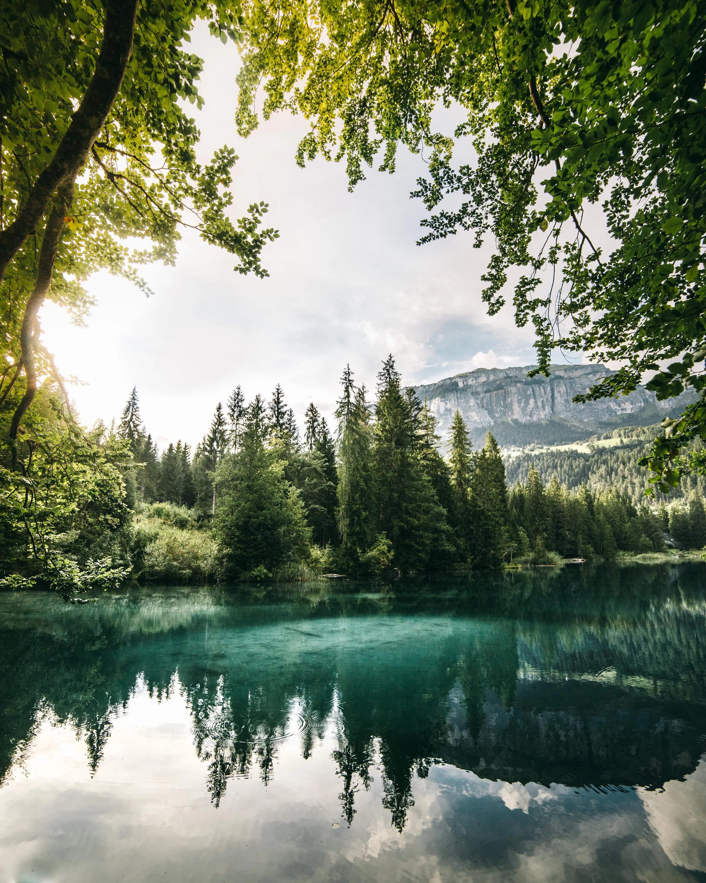 Качественное фото природы A late afternoon at the lake in Flims Switzerland (OC) (3840 4800) Beautiful lan