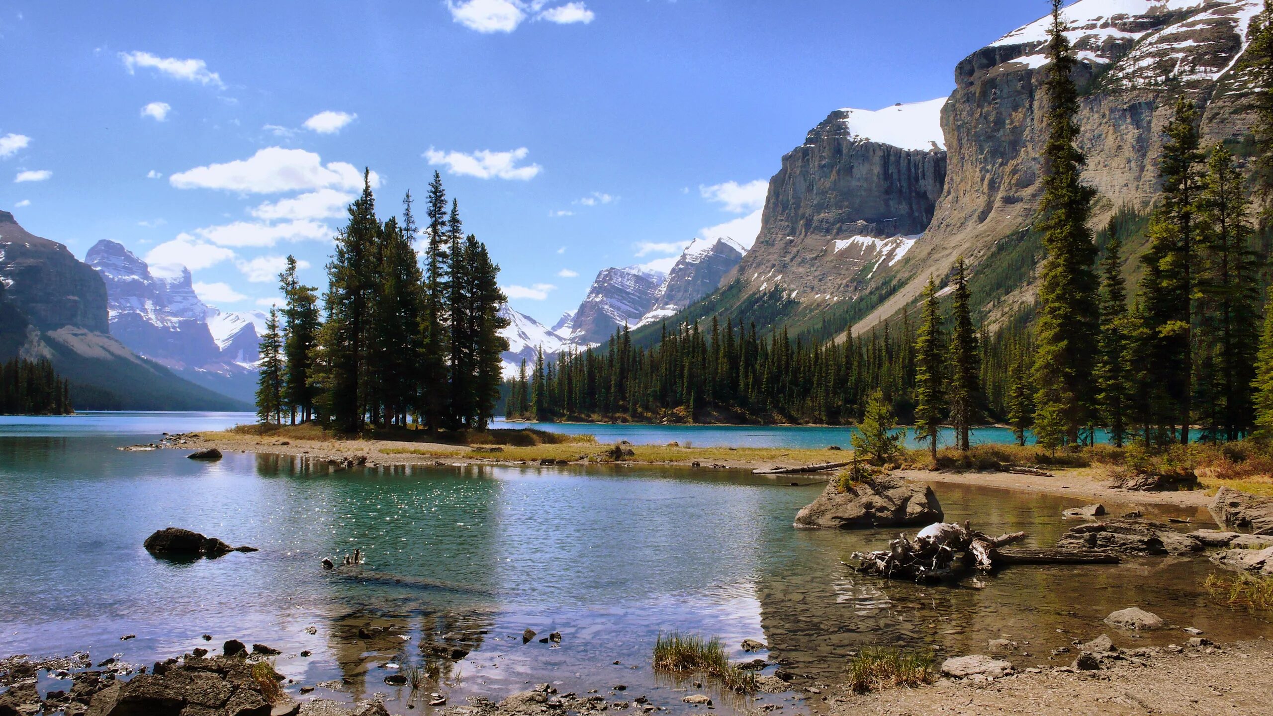 Качественное фото природы Wallpaper Green Trees Near Lake and Mountain Under Blue Sky During Daytime, Back