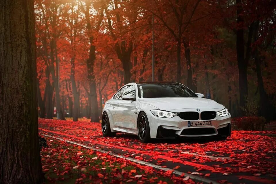 Качественные фото бмв BMW F82 BMW dream car dream BMW white BMW cars car photos fast cars Bmw cars, Bm