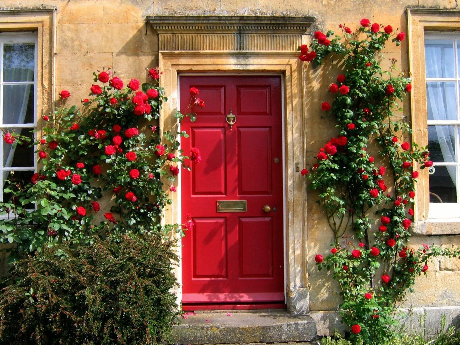 Качественные фото дверей Red front door, Red door, Gorgeous doors