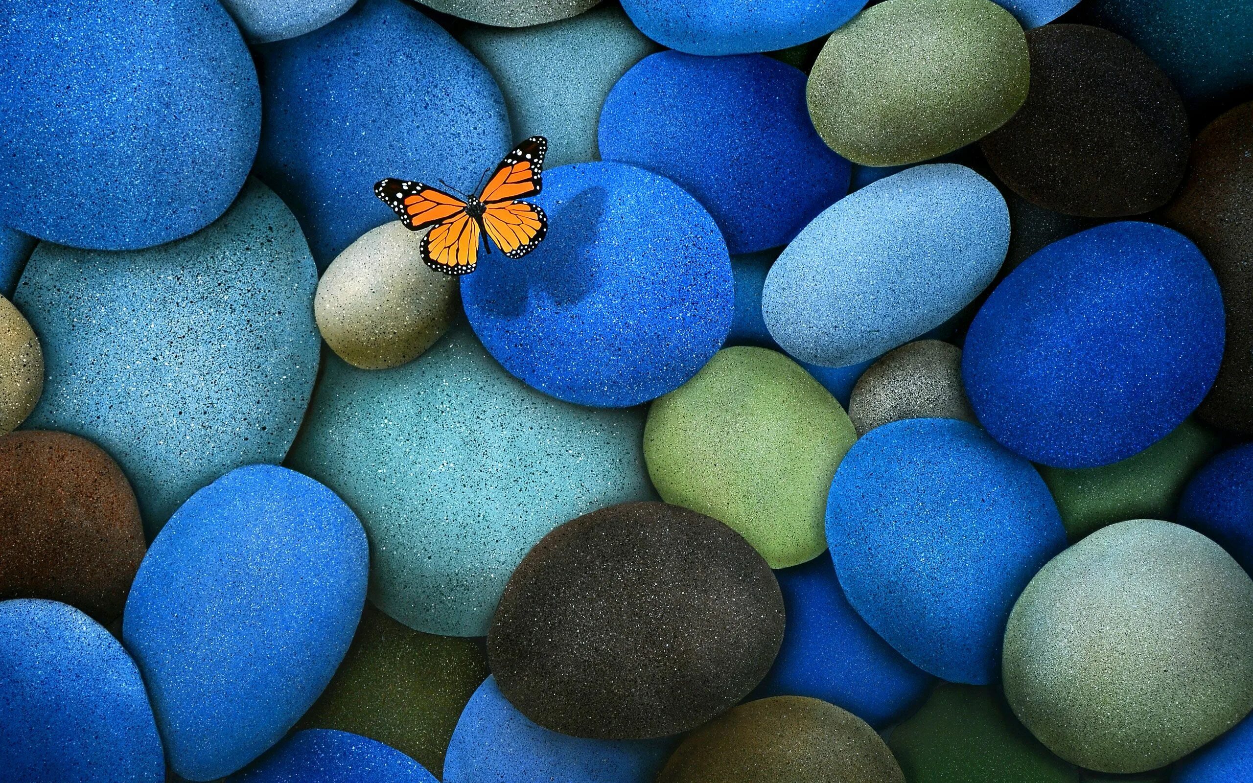 Качественные фото на обои на телефон Wallpaper Butterfly wallpaper, Blue butterfly wallpaper, Stone wallpaper