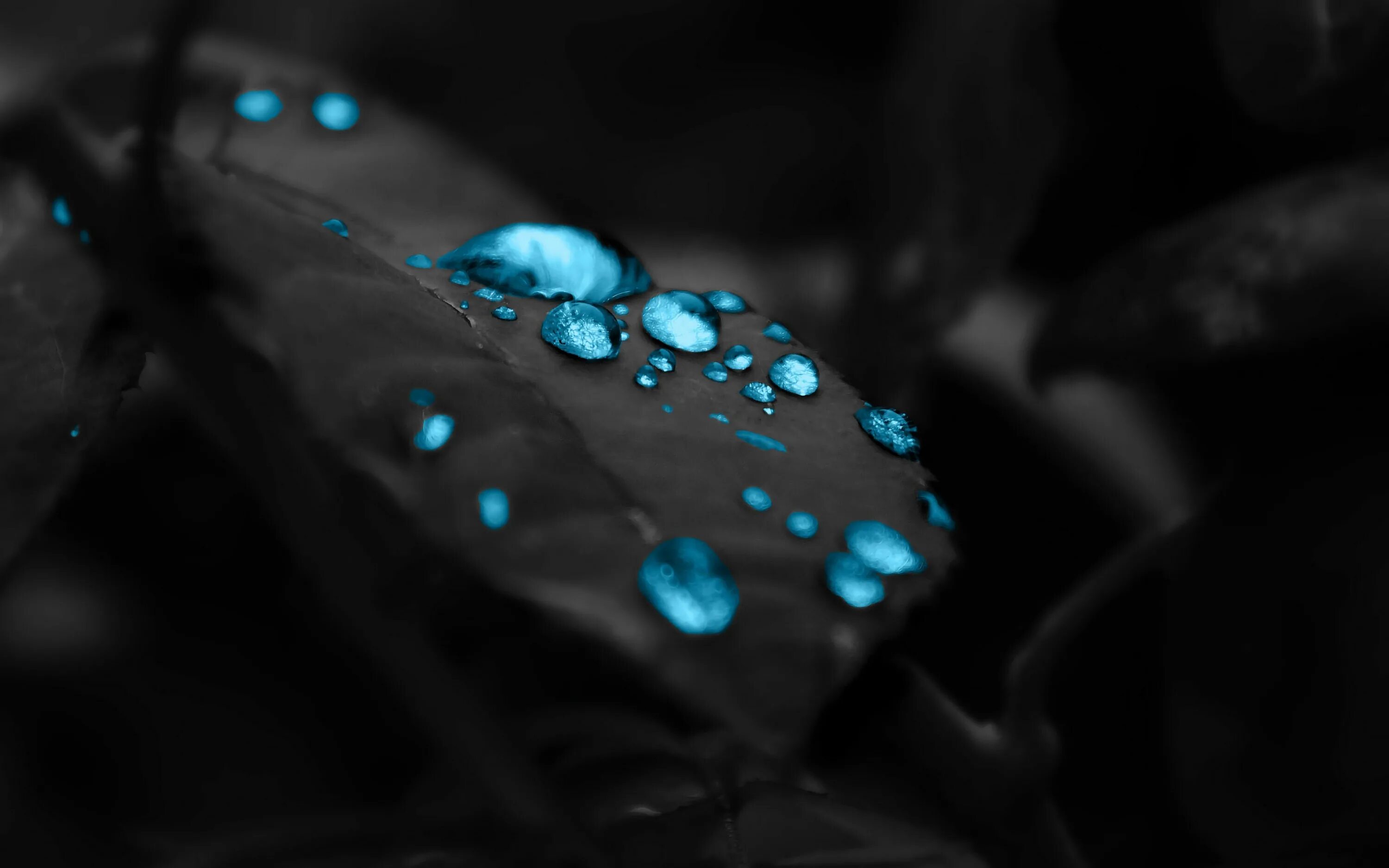 Качественные фото на обои на телефон Download wallpaper 3840x2400 drops, leaf, brushes, dew hd background