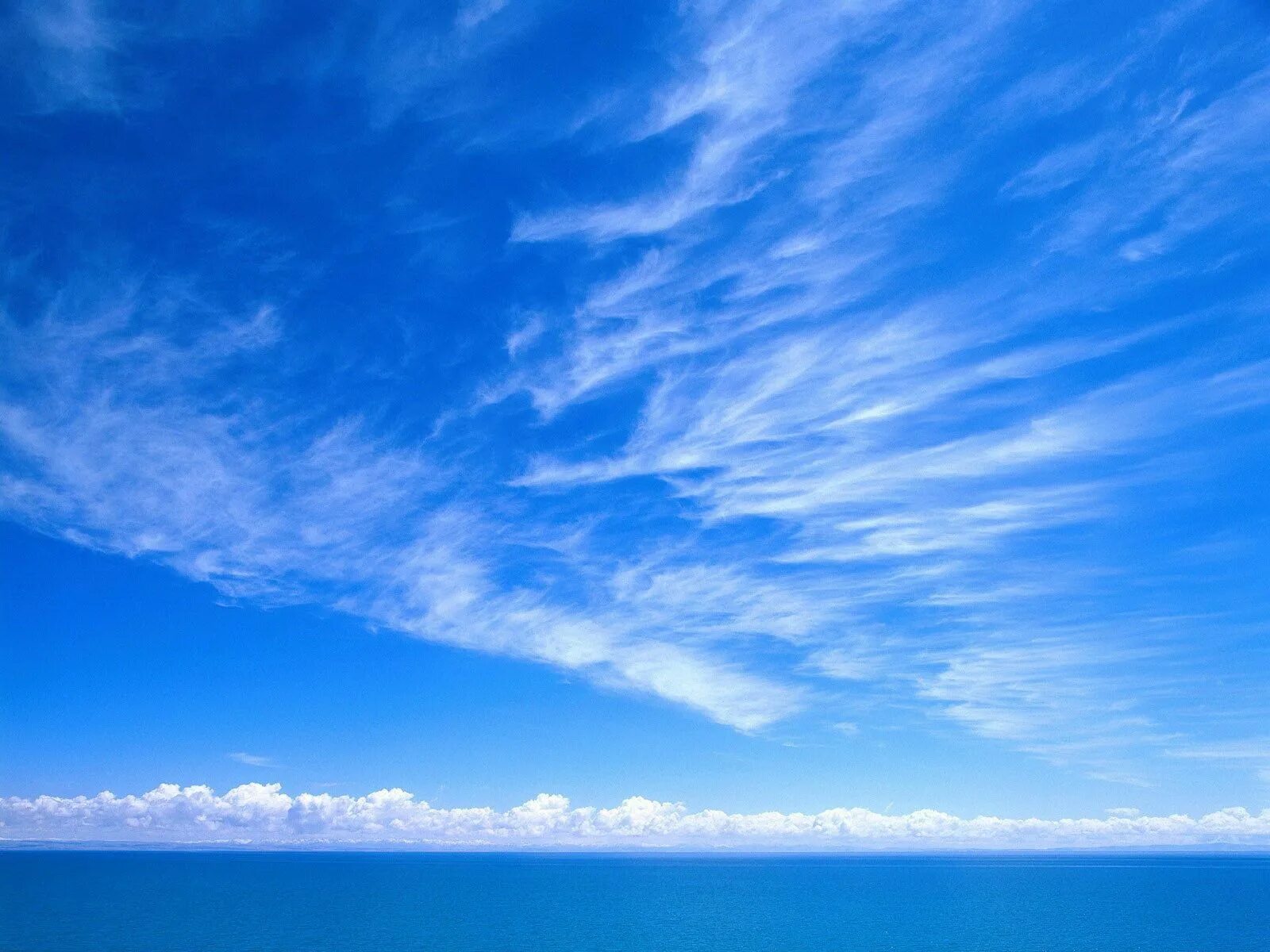 Качественные фото неба Download wallpaper 1600x1200 sky, blue, white, clouds, tenderness hd background