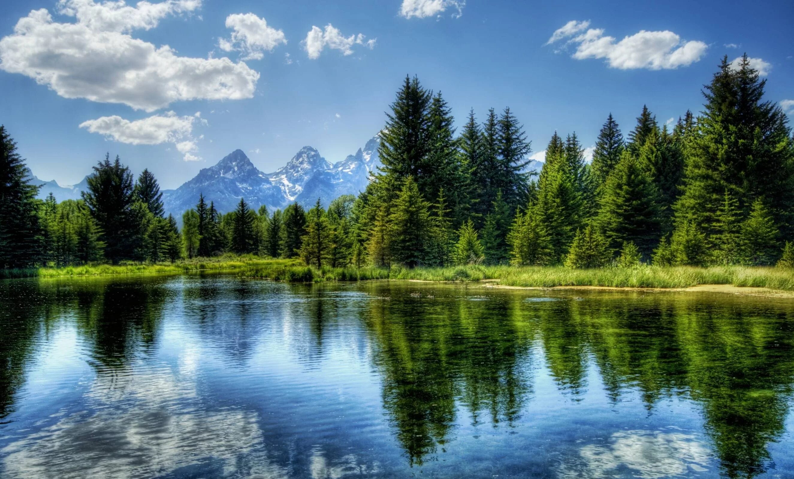 Качественные фото высокого разрешения Download wallpaper 2650x1600 lake, mountain, tree, water, landscape hd backgroun