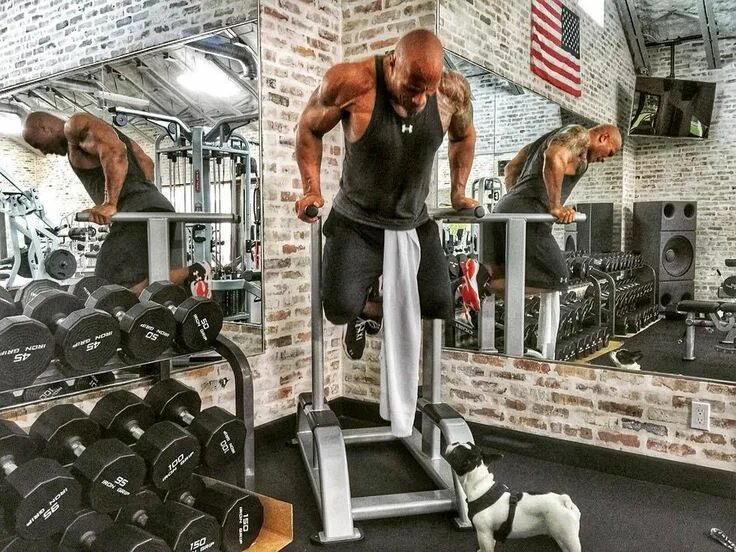 Качка фото зал Pin on Dwayne Johnson aka The Rock 3 The rock dwayne johnson, The rock workout, 