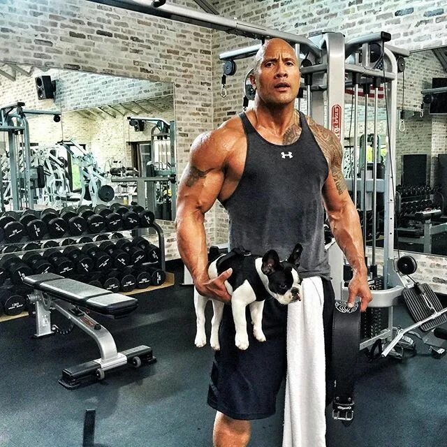 Качка фото зал 65 Dwayne Johnson Pictures That Will Rock Your World The rock dwayne johnson, Ro