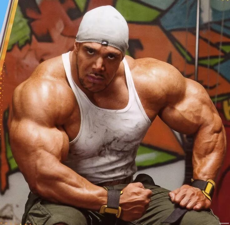 Качок ул калинина 153 фото who is stronger and bigger, rich piana or zack khan ? - Bodybuilding.com Forums 