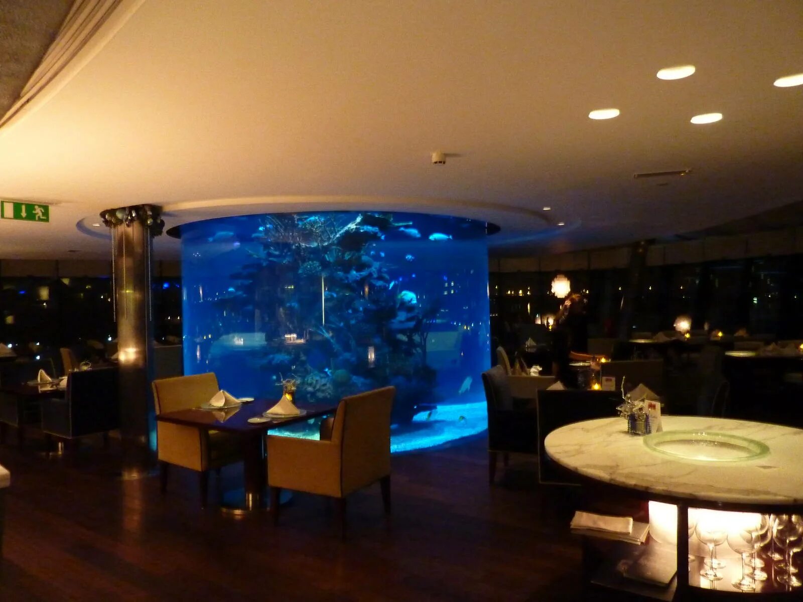 Кафе аквариум ключевская ул 74 фото Aquarium (Dubai restaurant) - ZooChat