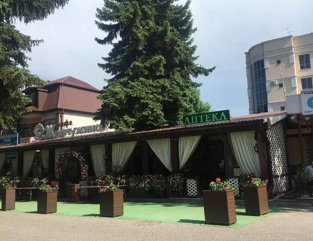 Кафе ессентуки фото Zhemchuzhina, restaurant, Yessentuki, ulitsa Lenina, 18 - Yandex Maps