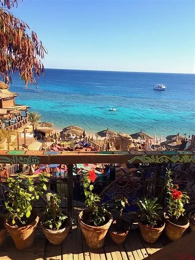 Кафе фарша шарм эль шейх фото Вид с лежаков в ожидании столика - Picture of Farsha Mountain Lounge, Sharm El S