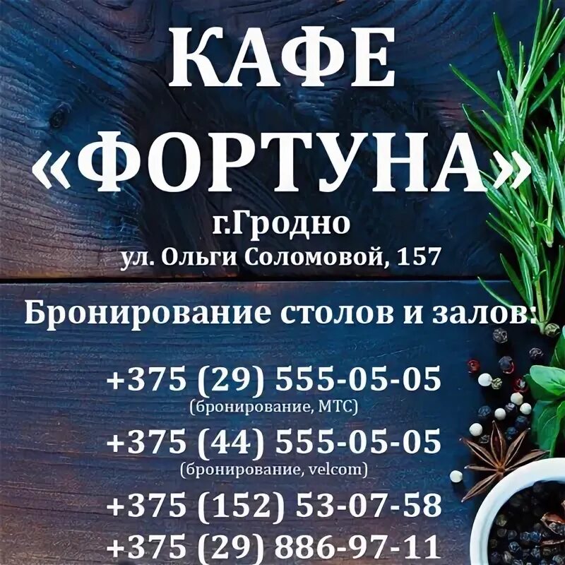 Кафе фортуна ул юматова 5 фото Фортуна кафе - Фото