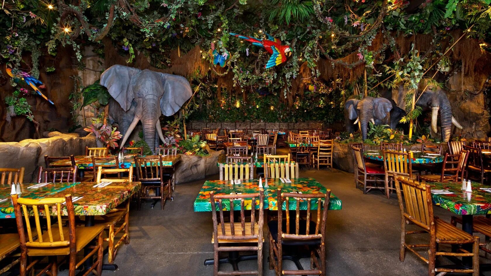 Кафе лес фото Rainforest Café Disney Springs Walt Disney World Resort