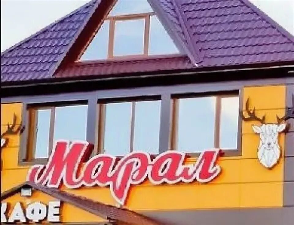 Кафе марал нальчик адрес и фото НаЕнисее Гид по краю