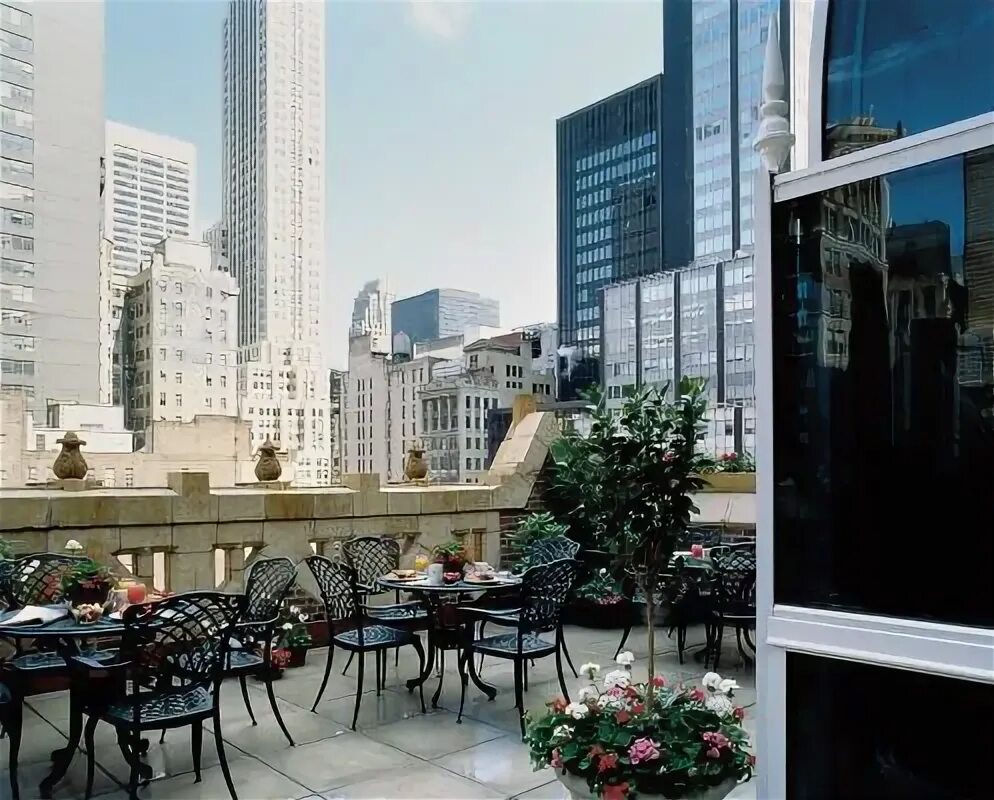 Кафе нью йорка фото NYC rooftop bars and restaurants to visit now - am New York Nyc rooftop, Library