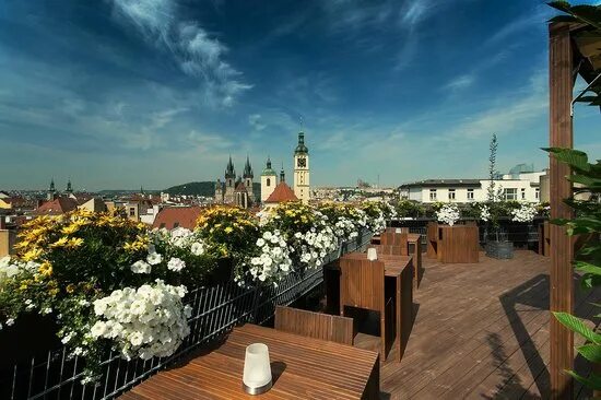 Кафе прага фото Beuatifull wiev - Изображение Restaurace Slunecni terasa T-Anker, Прага - Tripad