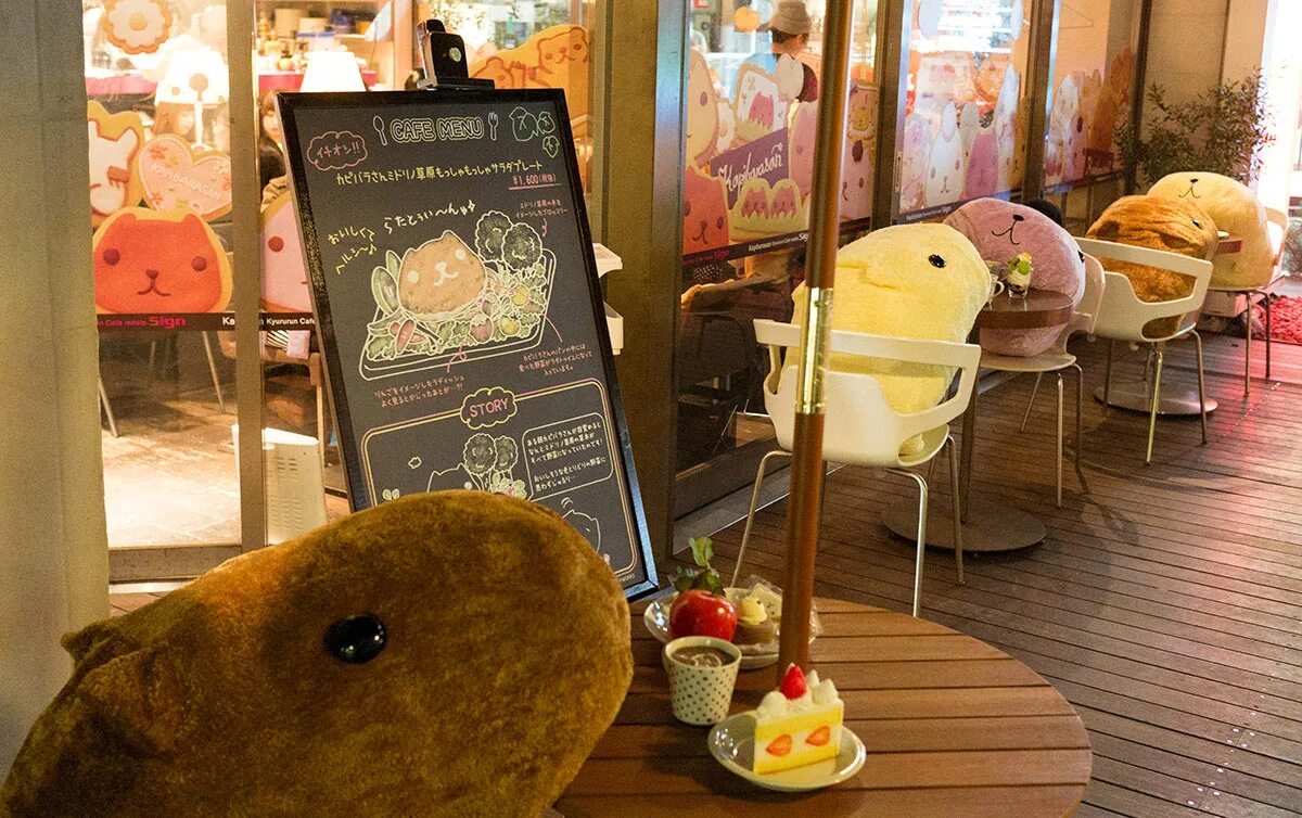 Кафе с капибарами в москве фото I went to a cafe "Daikanyama Sign" where I can eat with Capybara - GIGAZINE