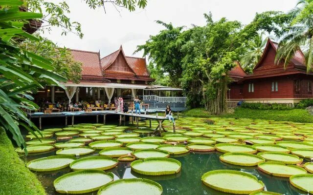 Кафе с кувшинками на пхукете фото Ma Doo Bua Phuket (ม า ด บ ว ภ เ ก ต) 3* на Пхукете 6 отзывов об отеле, цены и ф