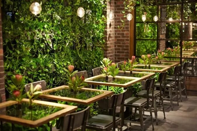 Кафе сад фото Как сделать фитостену своими руками? - Rosemary Wall Gardens Cafe interior desig