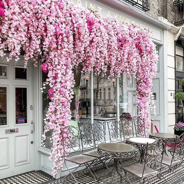 Кафе весна фото Buildings all dressed up in blooms! So pretty. Beautiful pic by @mylifestylememo