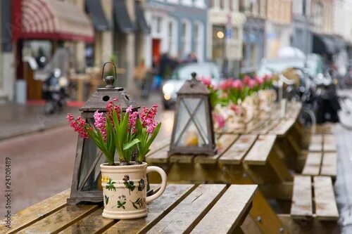 Кафе весна фото Cafe table with flowers and lantern. Focus on flowers Stock Photo Adobe Stock