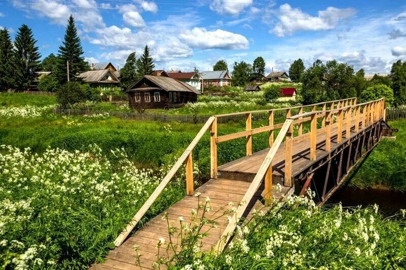 Кафе вологодская область вологодский район фото Окунитесь в лето! Великолепные фотографии городка Тотьма