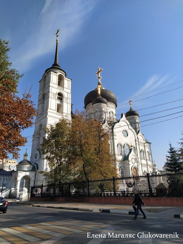 Кафедральный собор воронеж фото Благовещенский кафедральный собор: glukovarenik - ЖЖ