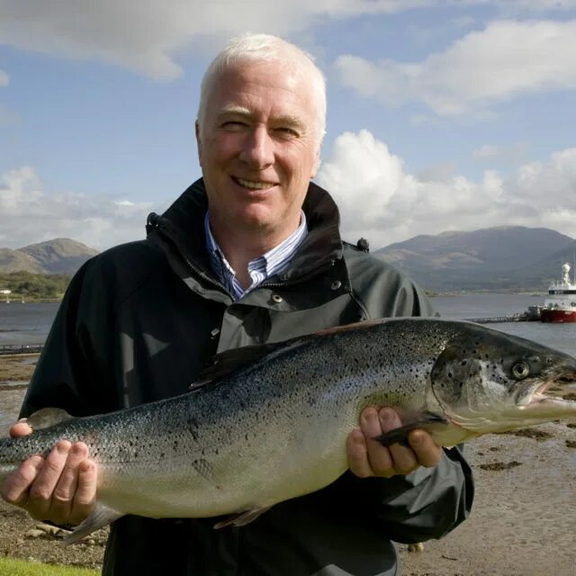 Кахавай рыба википедия фото и описание Scottish Salmon Producers Organisation Archives - Page 8 of 12 - Fish Farmer Mag