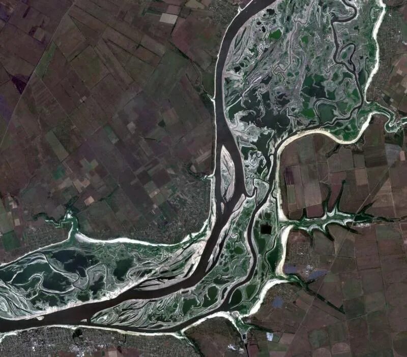 Каховское водохранилище сегодня фото 2024 The territory of the former Kakhovka reservoir is rapidly covered with vegetatio