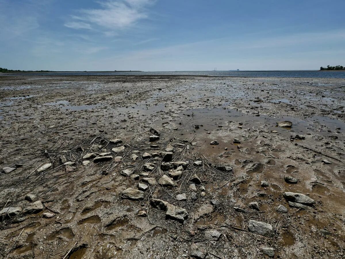 Каховское водохранилище сегодня фото 2024 год Ukrainians looking for missing troops are finding Nazi bullets, World War II-era