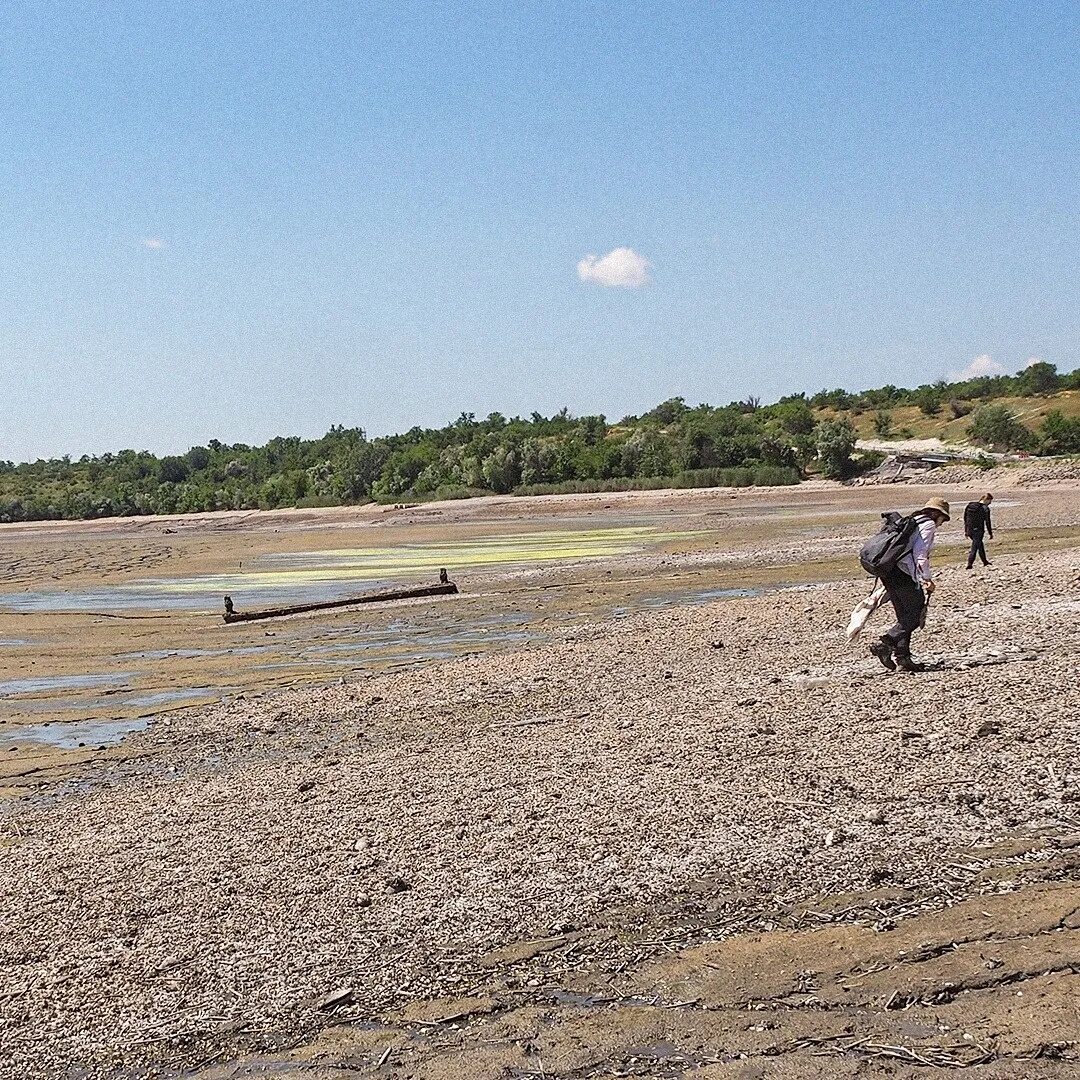 Каховское водохранилище сегодня фото никополь Мертве Каховське водосховище і перші паростки життя на його сухому дні. Фото - Н