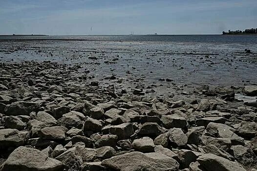 Каховское водохранилище сегодня фото никополь На Украине прекратили замерять глубину воды в Каховском водохранилище - Рамблер/