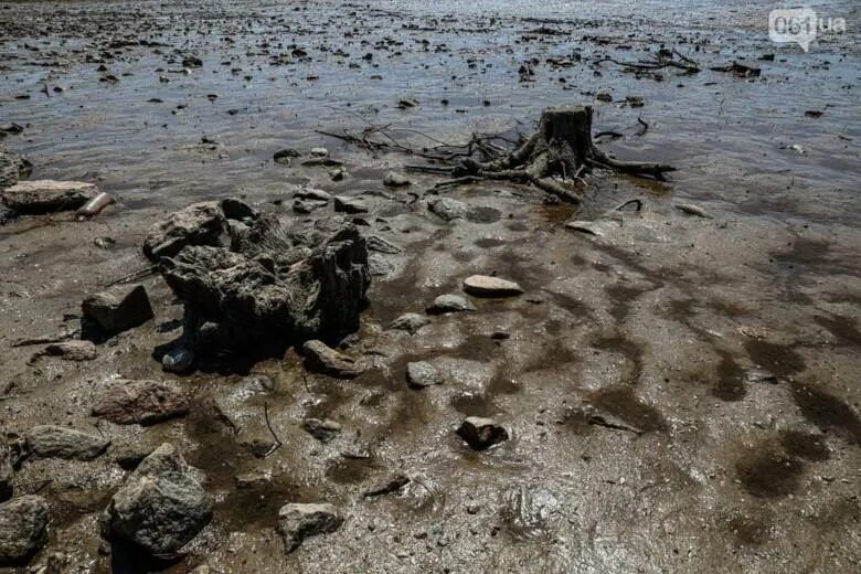 Каховское водохранилище сегодня фото никополь Теракт Киева на Каховской ГЭС - крупнейшая экологическая катастрофа