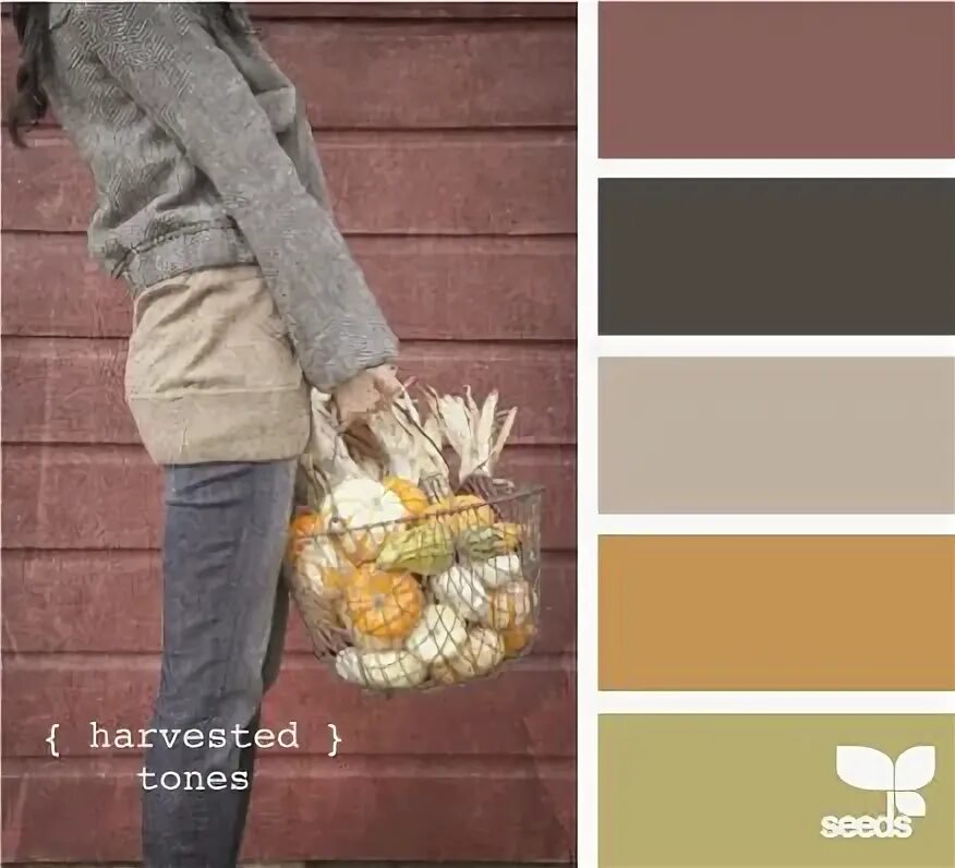 Капучино в одежде сочетание Discover Your Perfect Palette with Design Seeds ®