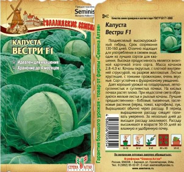 Капуста дайкон фото и описание сорта Капуста Вестри F1/Сем Алт/цп 15 шт. Seminis (Голландские Семена) БАКЛАЖАН