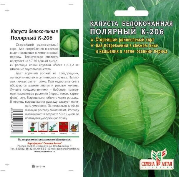 Капуста дайкон фото и описание сорта Капуста Полярный № 1 К-206/Семена Алтая/цп 0,3 гр. кабачок, капуста, лук. Семена