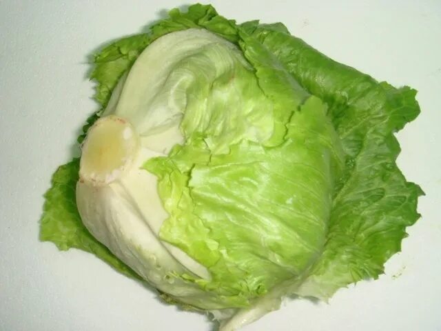 Капуста для салата цезарь как называется фото Keep iceberg lettuce fresh in the fridge by wrapping it in a clean, dry paper to