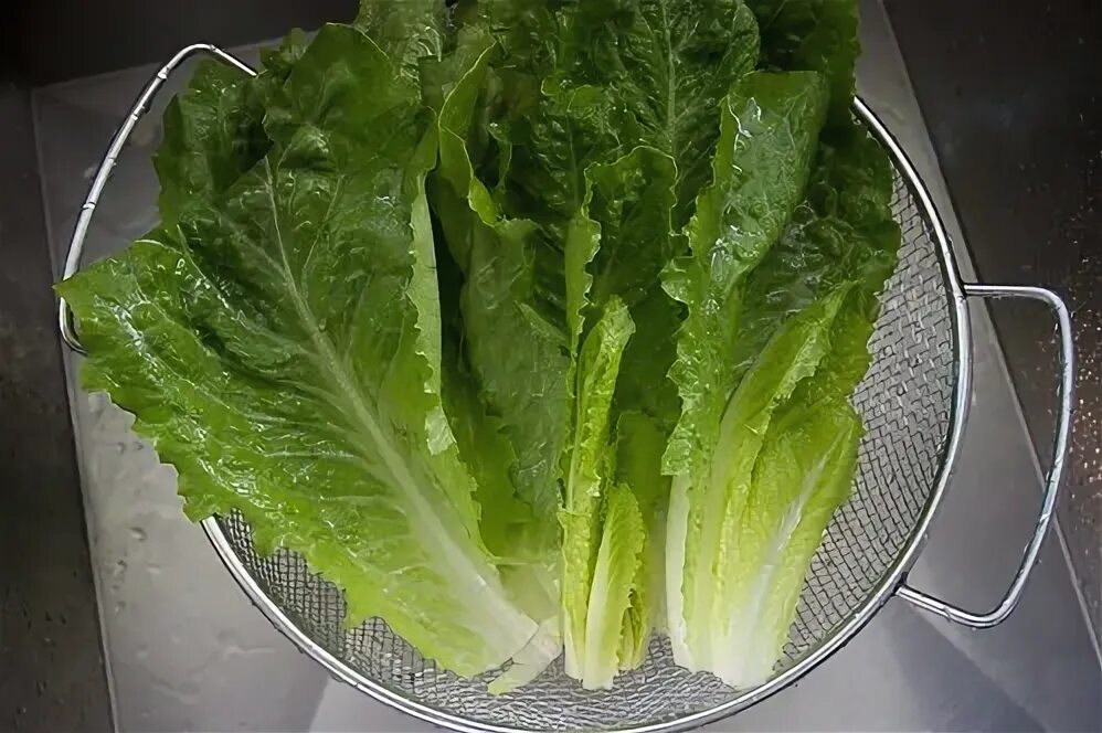 Капуста для салата цезарь как называется фото Simple Caesar Salad - Shutterbean