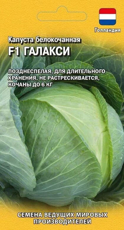 Капуста галакси описание сорта фото отзывы Семена Капуста б/к Галакси F1: описание сорта, фото - купить с доставкой или поч