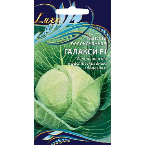 Капуста галакси описание сорта фото отзывы Капуста Галакси F1 10 шт. для хранения (Голландия)Г купить с доставкой - интерне