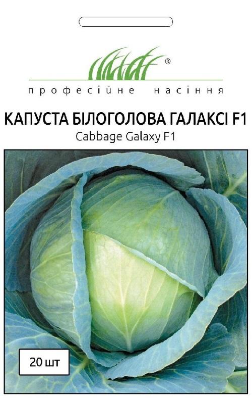 Капуста галакси описание сорта фото отзывы Купить - Семена капусты Галакси из Питомника Сады Бахмута