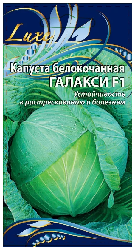 Капуста галакси описание сорта фото отзывы Семена Ваше хозяйство Капуста белокочанная Галакси F1 10 шт - купить в интернет-