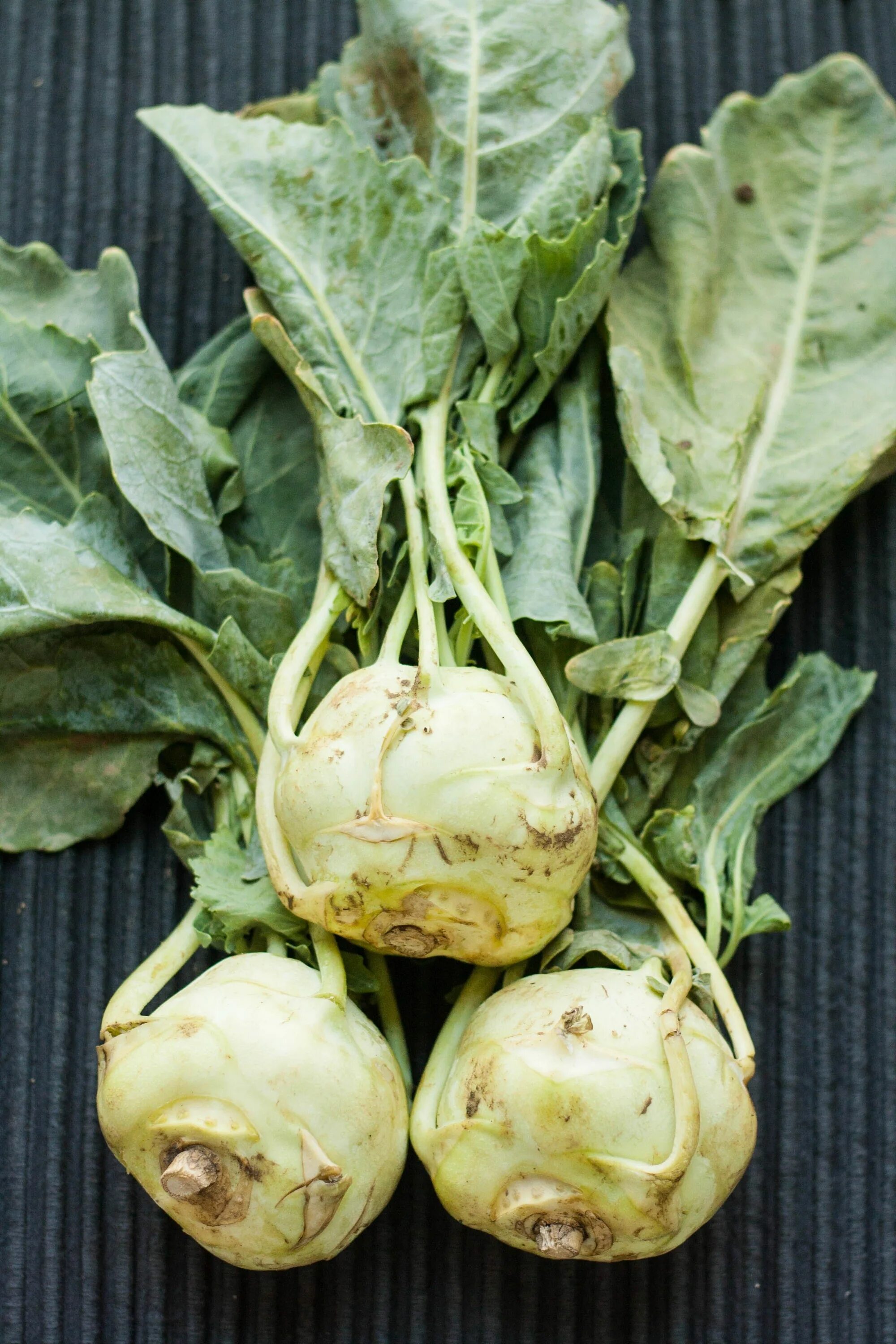 Капуста как редька фото 10 Delicious and Easy Recipes That'll Make You Fall in Love with Kohlrabi Kohlra