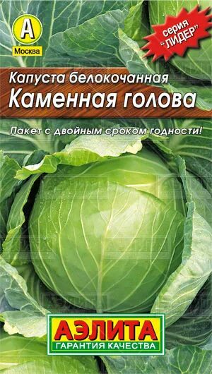 Капуста каменная голова описание сорта фото отзывы Капуста белокочанная Каменная голова 0,3г цв. Аэлита (лидер) купить в Уфе - мага