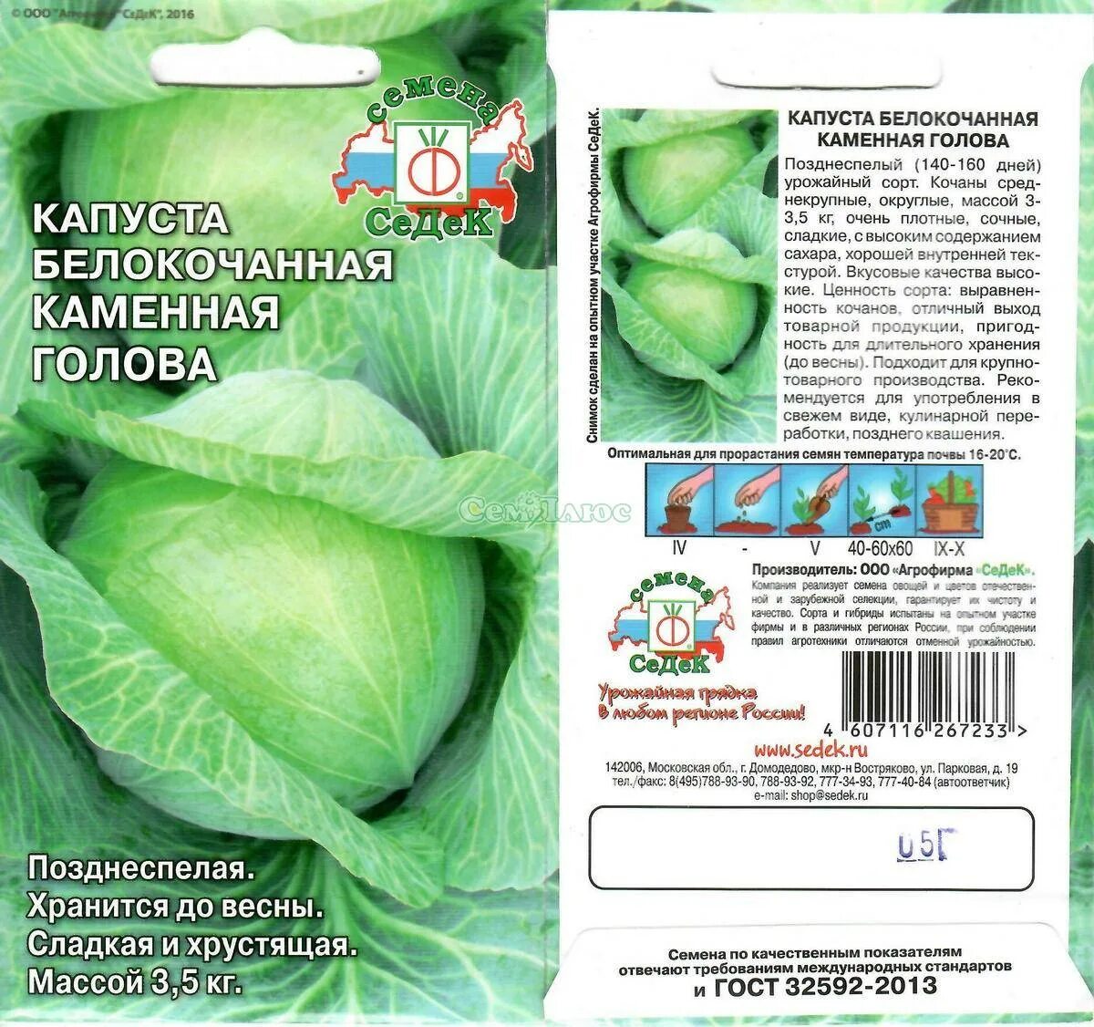 Капуста каменная голова описание сорта фото отзывы Капуста каменная голова описание сорта фото отзывы Фитостудия-63.ру
